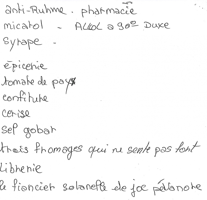 Figure 1. Exemple de dictée produite par un enquêté du module bas